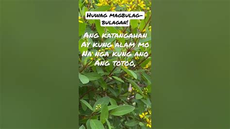 baldugan meaning in tagalog|BULUGAN (Tagalog).